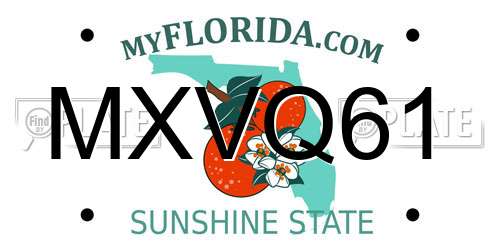 MXVQ61 Florida License Plate