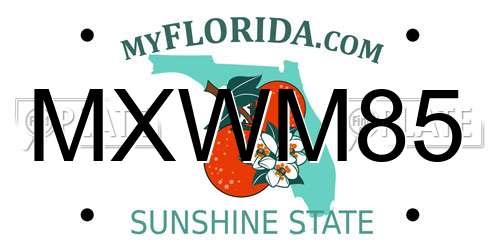 MXWM85 Florida License Plate