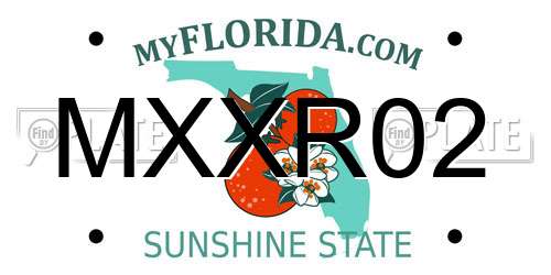 MXXR02 Florida License Plate