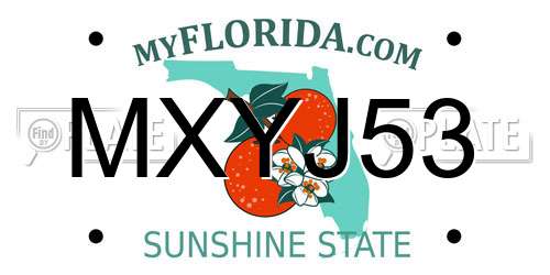 MXYJ53 Florida License Plate