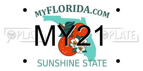 MY21 Florida License Plate