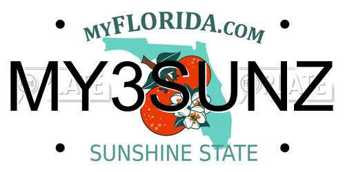 MY3SUNZ Florida License Plate