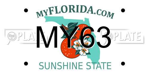 MY63 Florida License Plate