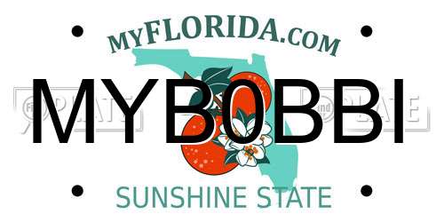 MYB0BBI Florida License Plate