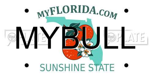 MYBULL Florida License Plate
