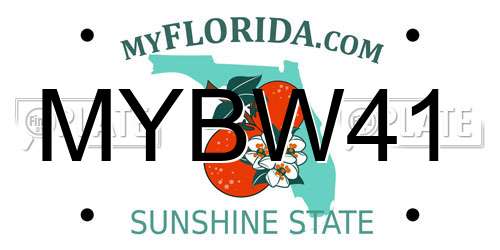 MYBW41 Florida License Plate