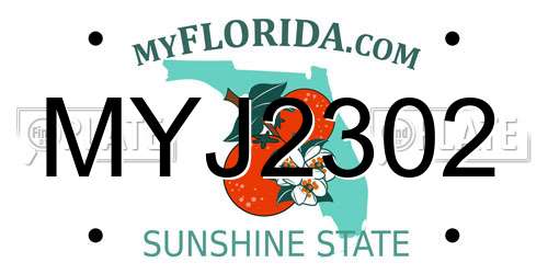 MYJ2302 Florida License Plate