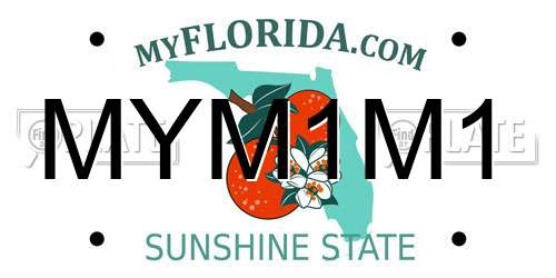 MYM1M1 Florida License Plate