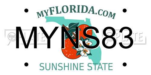 MYNS83 Florida License Plate