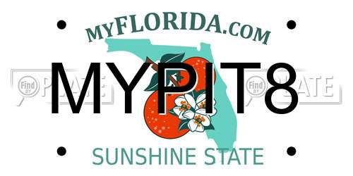 MYPIT8 Florida License Plate