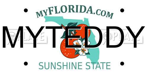 MYTEDDY Florida License Plate