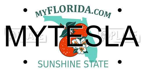 MYTESLA Florida License Plate