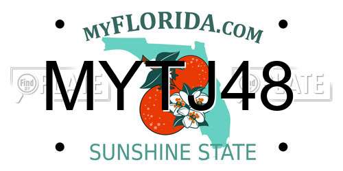 MYTJ48 Florida License Plate