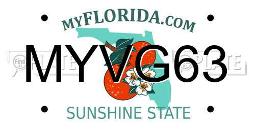 MYVG63 Florida License Plate