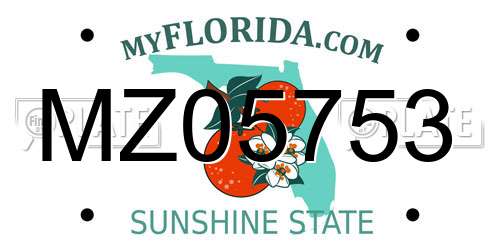 MZ05753 Florida License Plate