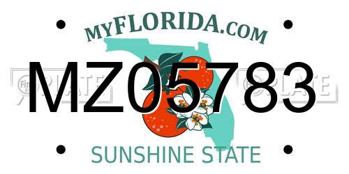 MZ05783 Florida License Plate