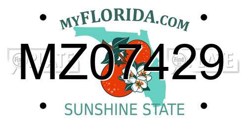MZ07429 Florida License Plate