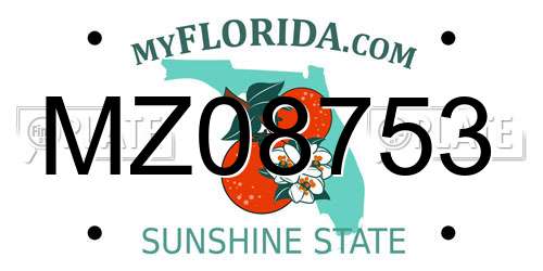 MZ08753 Florida License Plate