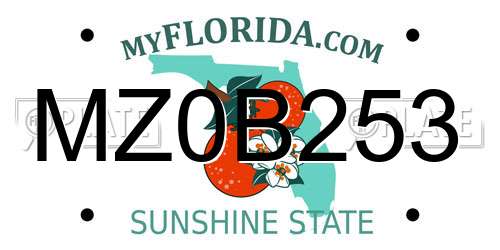 MZ0B253 Florida License Plate