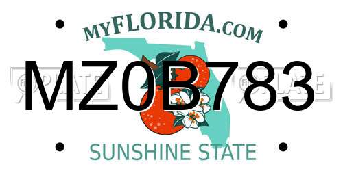 MZ0B783 Florida License Plate