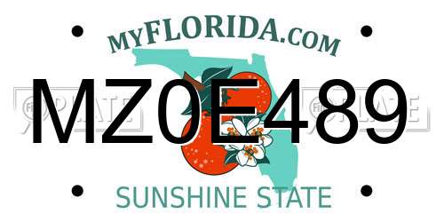 MZ0E489 Florida License Plate