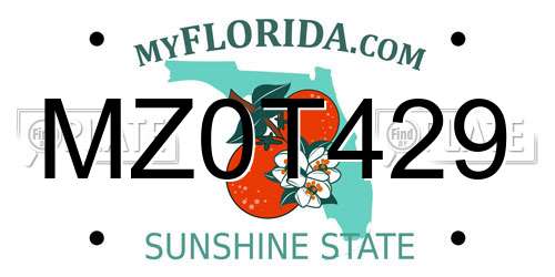 MZ0T429 Florida License Plate