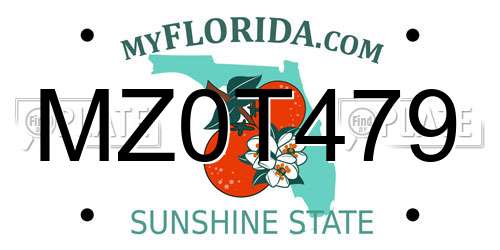 MZ0T479 Florida License Plate