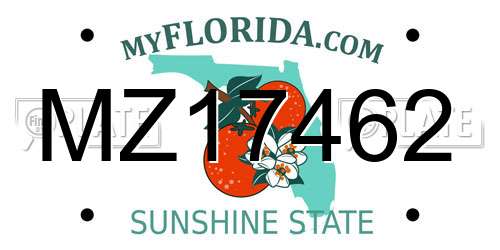 MZ17462 Florida License Plate