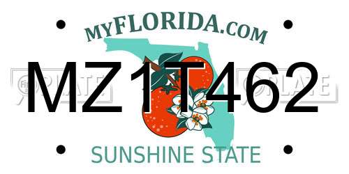 MZ1T462 Florida License Plate