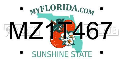 MZ1T467 Florida License Plate