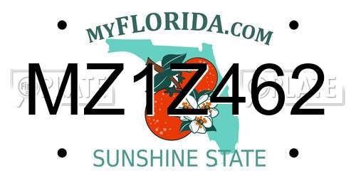 MZ1Z462 Florida License Plate