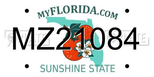MZ21084 Florida License Plate