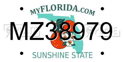 MZ38979 Florida License Plate