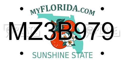 MZ3B979 Florida License Plate