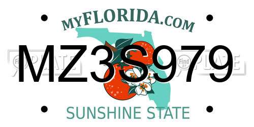 MZ3S979 Florida License Plate