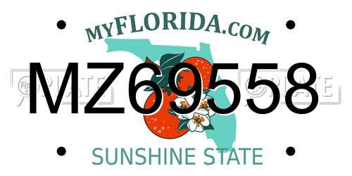 MZ69558 Florida License Plate