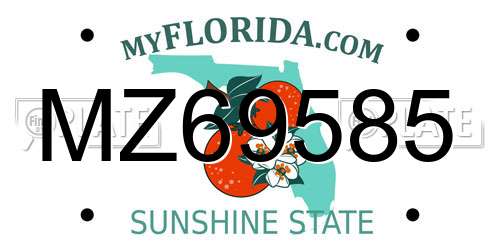 MZ69585 Florida License Plate