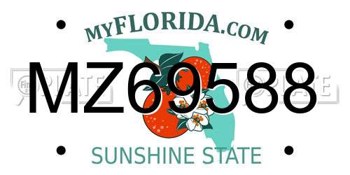 MZ69588 Florida License Plate