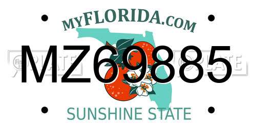 MZ69885 Florida License Plate