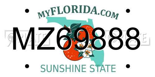 MZ69888 Florida License Plate