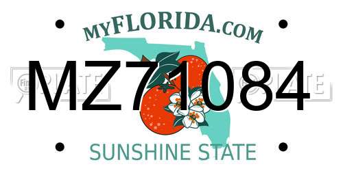 MZ71084 Florida License Plate