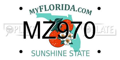 MZ970 Florida License Plate