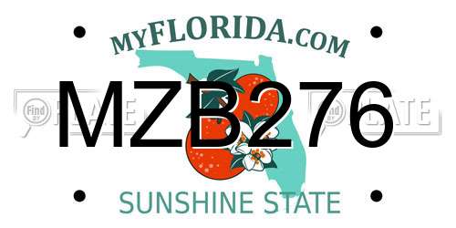 MZB276 Florida License Plate
