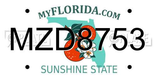 MZD8753 Florida License Plate
