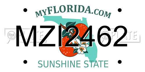 MZI2462 Florida License Plate