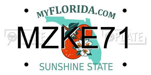MZKE71 Florida License Plate