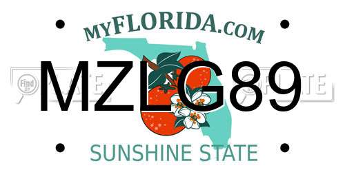 MZLG89 Florida License Plate