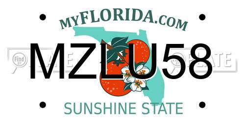 MZLU58 Florida License Plate