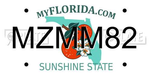 MZMM82 Florida License Plate