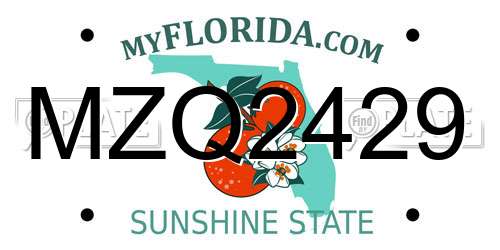 MZQ2429 Florida License Plate